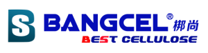 BANGSHANG INTERNATIONAL CO.. LTD